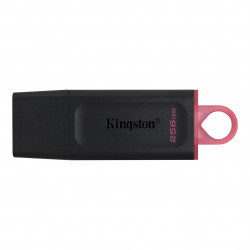 KINGSTON 256Go USB3.2 Gen1...
