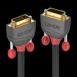 Lindy 36224 câble DVI 5 m...